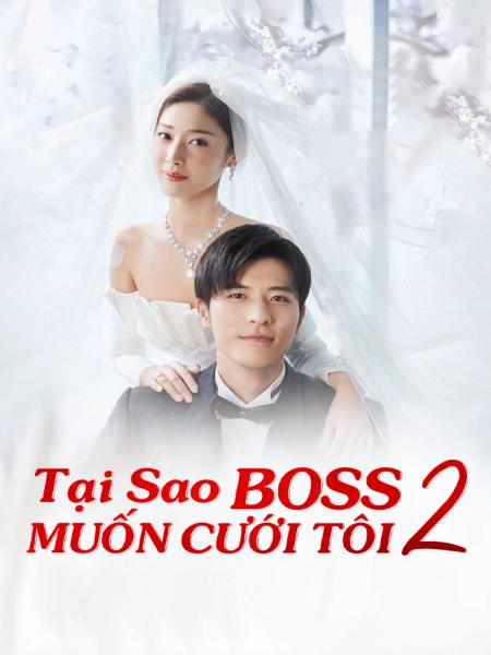 Tại Sao Boss Muốn Cưới Tôi? - Phần 2 - Well-Intended Love 2