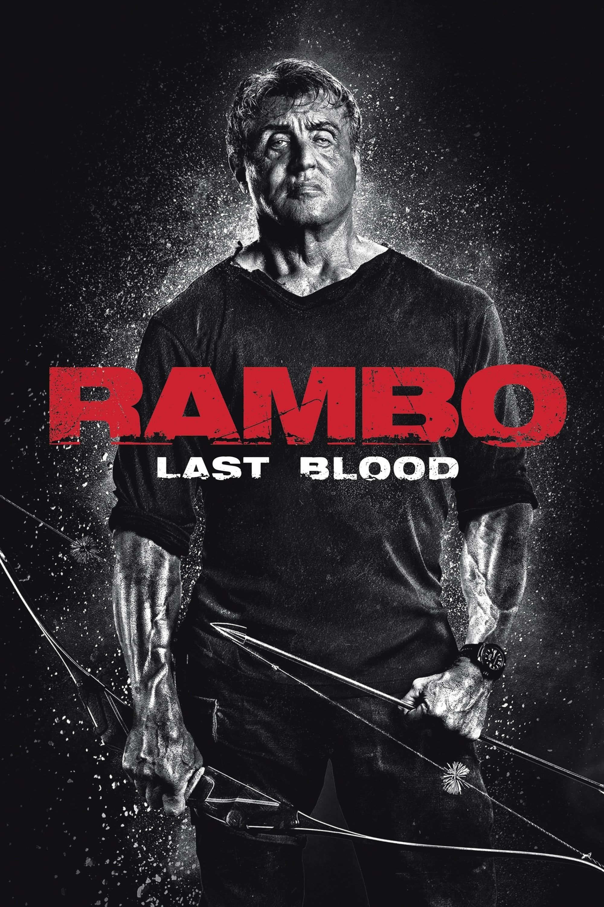 Hồi Kết Đẫm Máu - Rambo: Last Blood